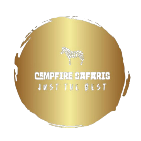 Campfire Safaris