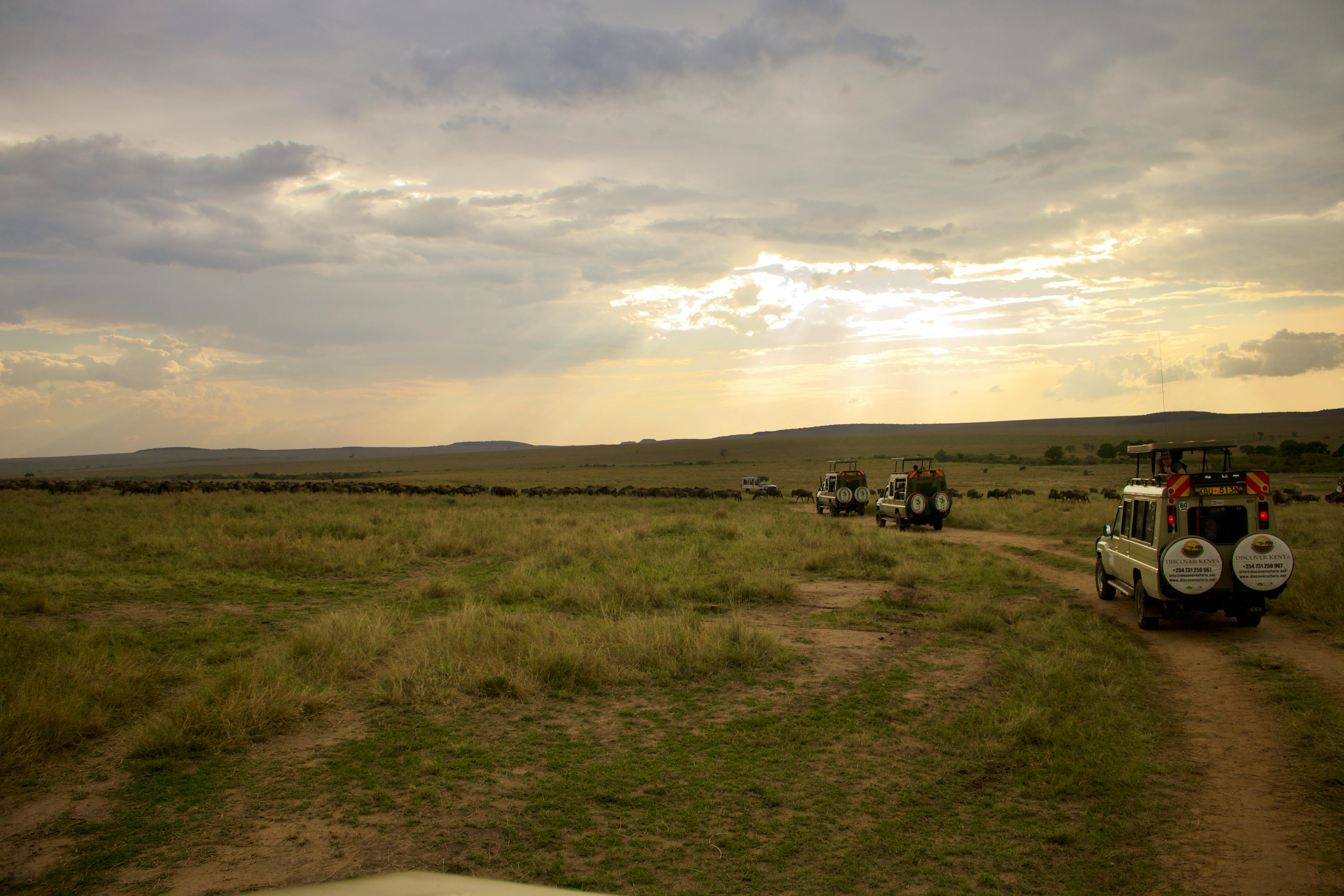 Lake Nakuru